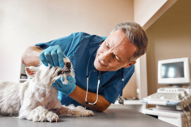 Best Emergency Tooth Extraction in Red Bank, TN